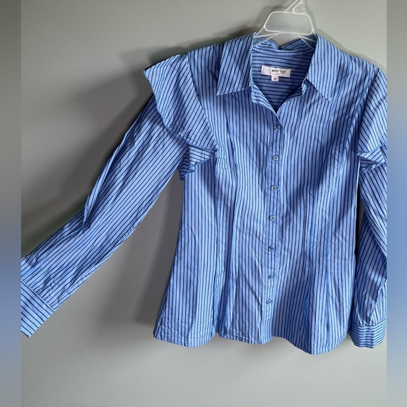 Koche Collective Pinstripe Size 34 (2) Cotton Blue - Picture 5 of 7